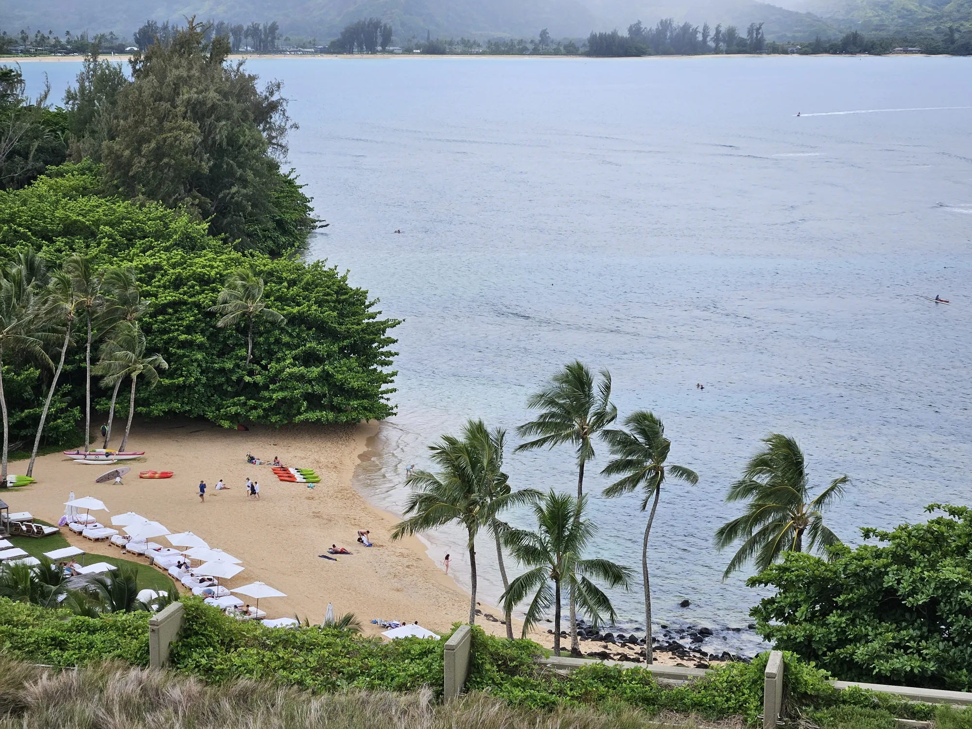 The Beach at 1 Hanaley Bay Kauai