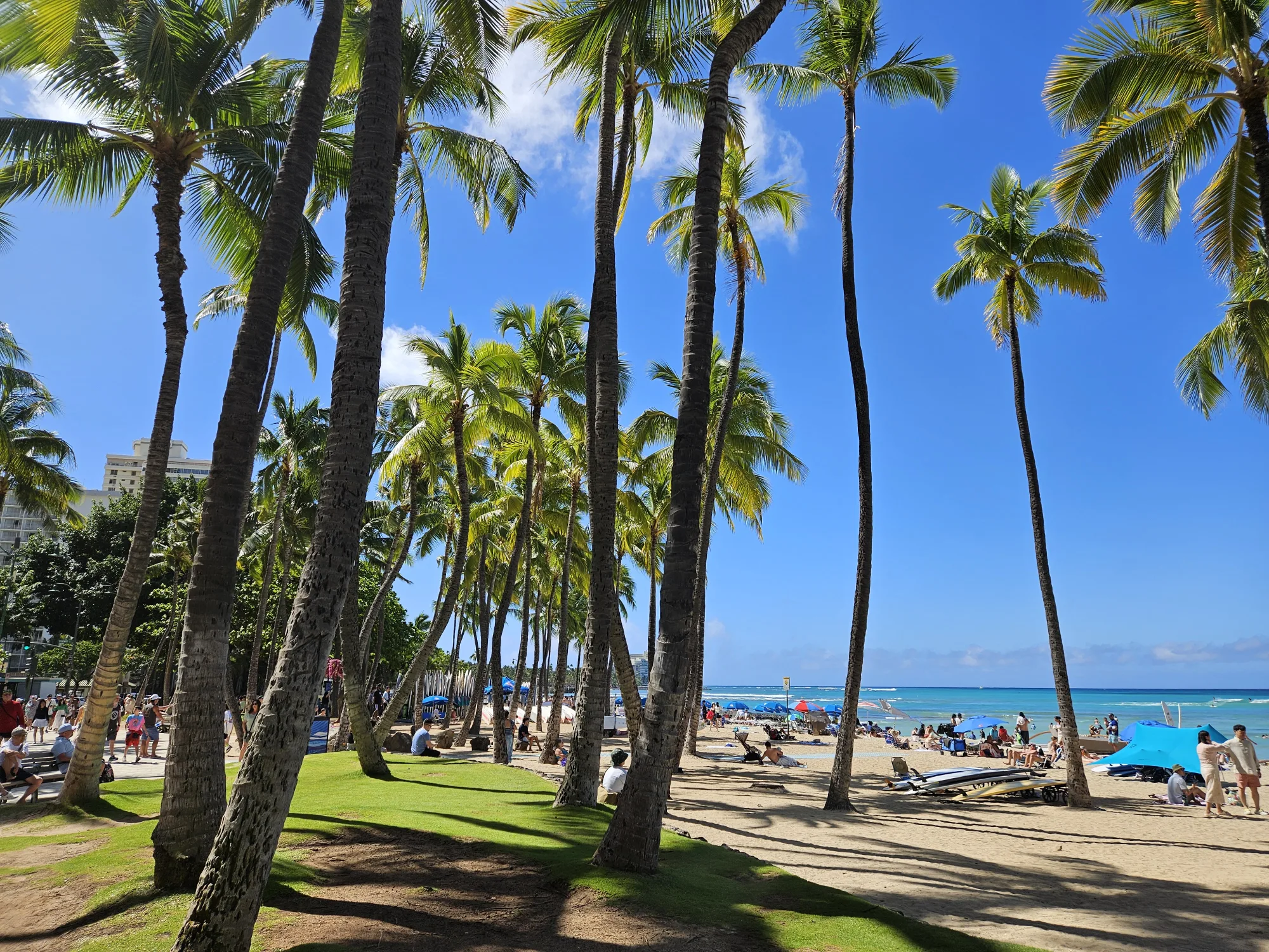 Waikiki-beach-Hawaii