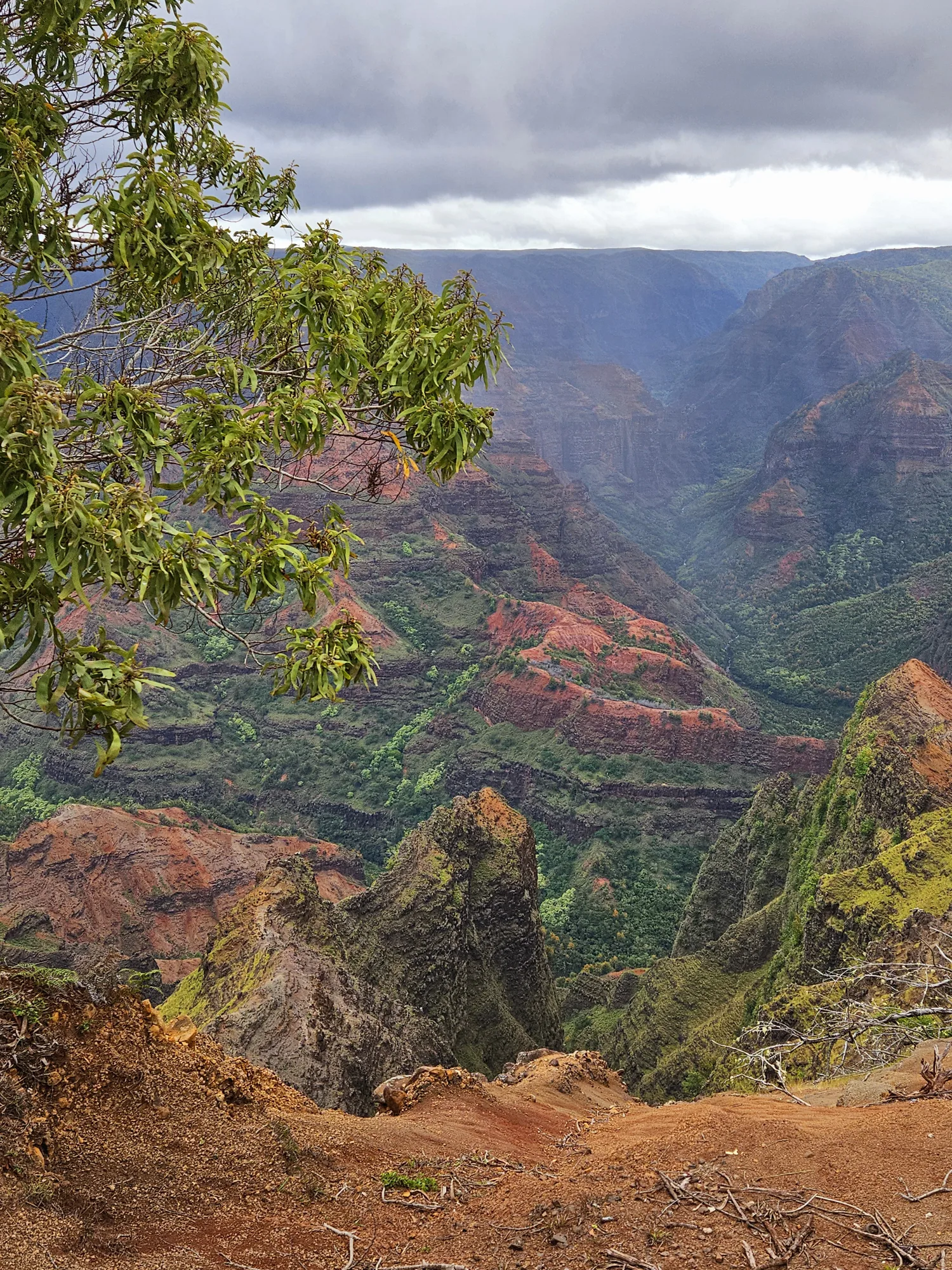 View over green Waymea Canyon on Kauai Hawaii
