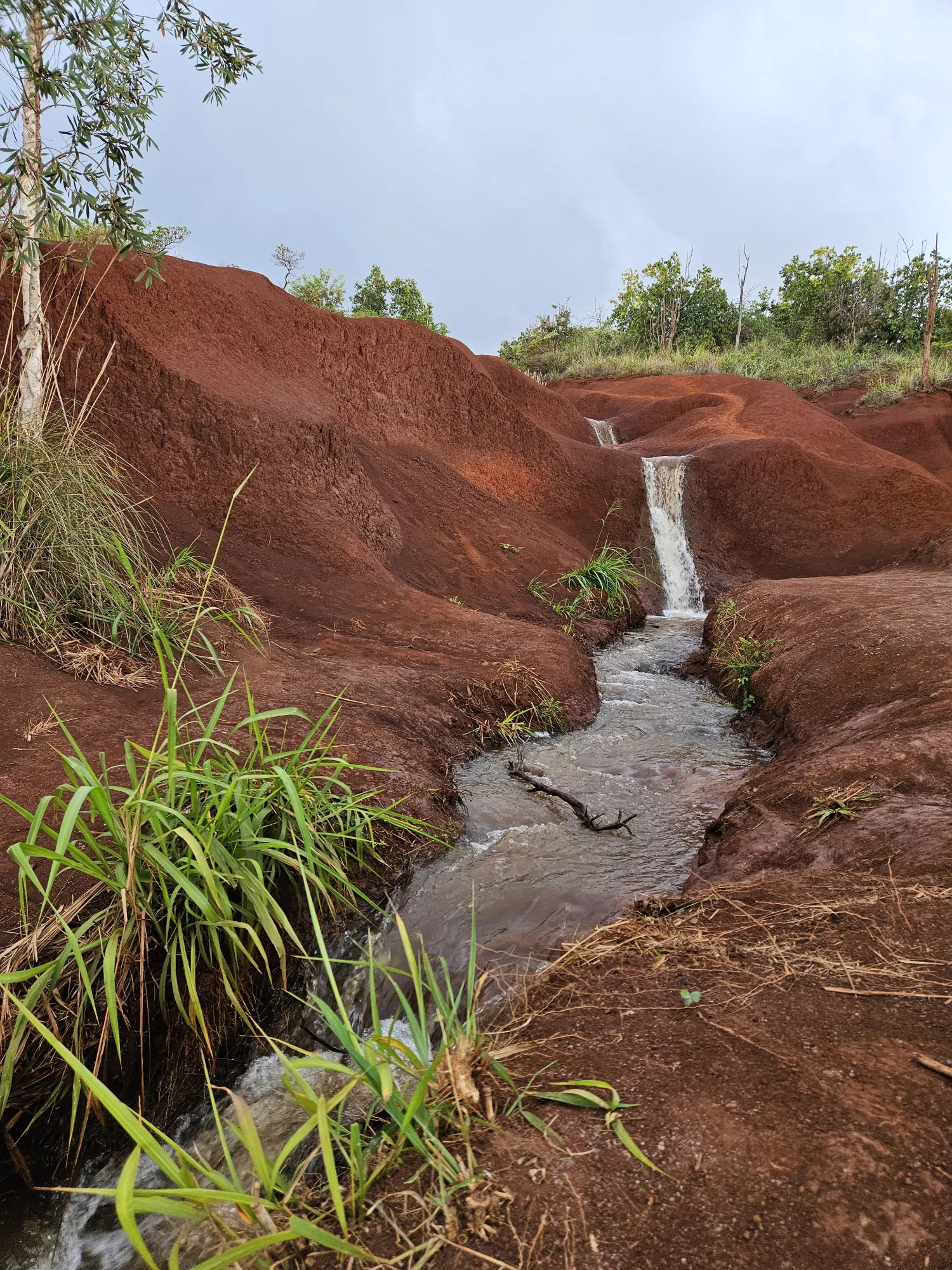 A little stream on red earth in Waymea Canyon