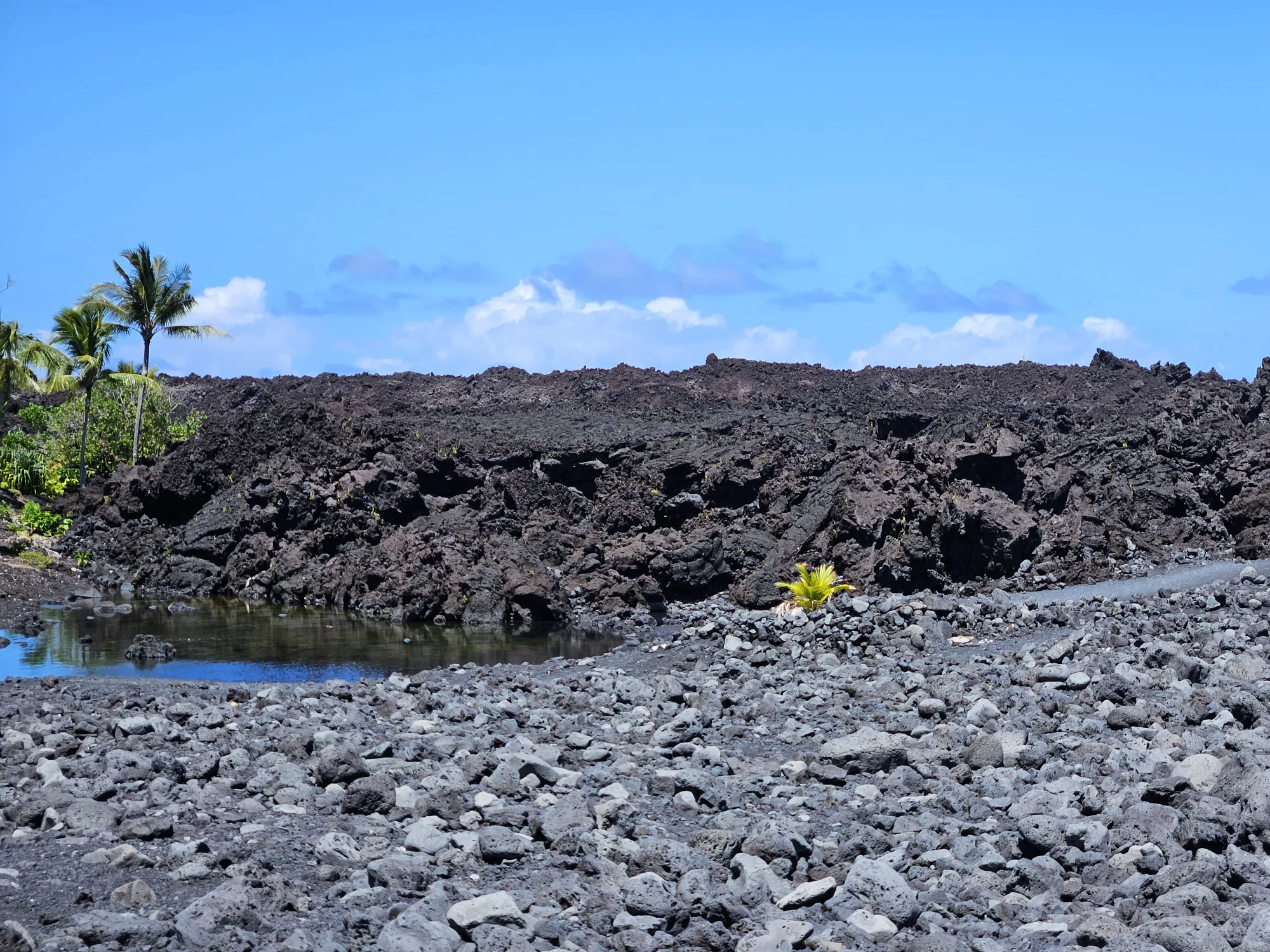 Beach in Hilo, full of Volcanic Rocks