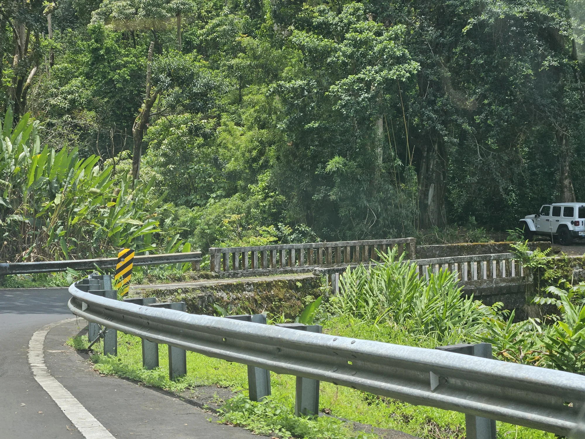 The road to hana, Hawaii