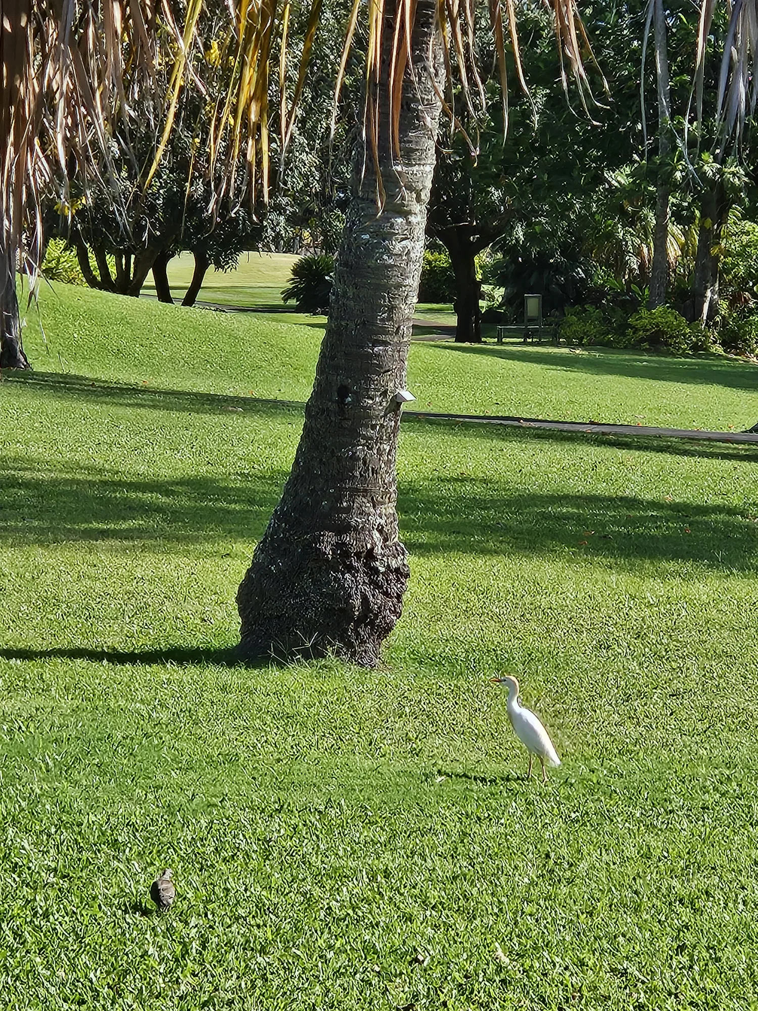 Garden in Hana, Hawaii