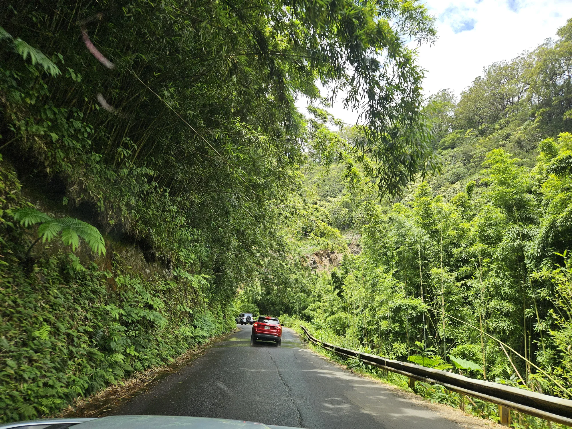 The road to Hana, Hawaii